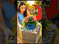 🏗️🌸 Amazing DIY Cement Planter Transformation! #aishorts #aishorts #diy #crafts #satisfying