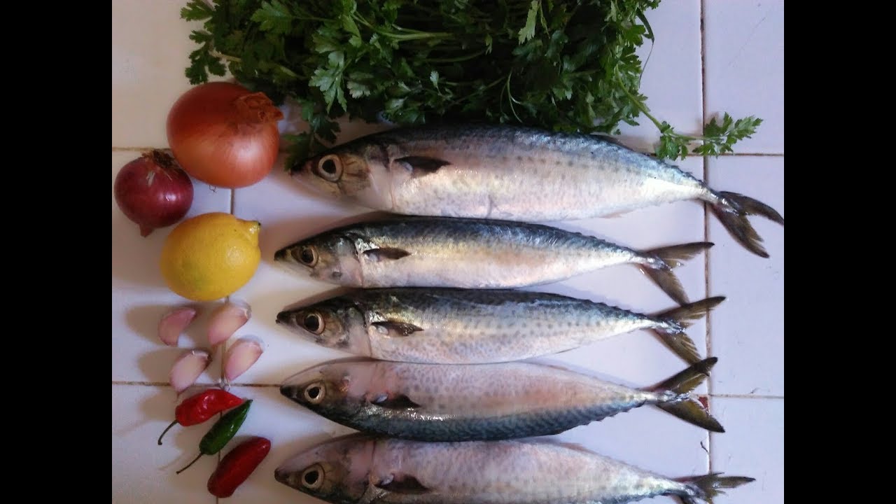 سمك كبايلا حماقو عليها ملايين المشاهدين اللذة و المذاق