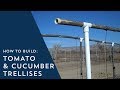 How to Build Tomato and Cucumber Trellises