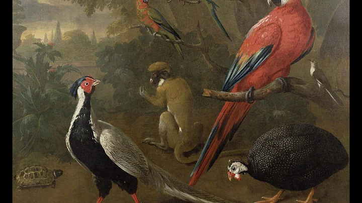 Ravel: Histoires naturelles- Lucile Villeneuve Evans
