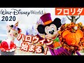 最高のコレクション フロ��ダ ディズニー ハロウィン 184368-フロリダ ディズニー ハロウィン