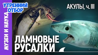 видео: Акулы, ч.3: Загадочные монстры - хранители древних городов, русалки, гоблины, домовые и прочие акулы картинка: Акулы, ч.3: Загадочные монстры - хранители древних городов, русалки, гоблины, домовые и прочие акулы