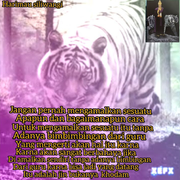 Story wa pesan aki maung bodas harimau padjajaran terbaru 2021 🙏🙏