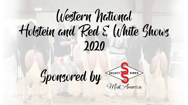 Western National Holstein and R&W Shows 2020
