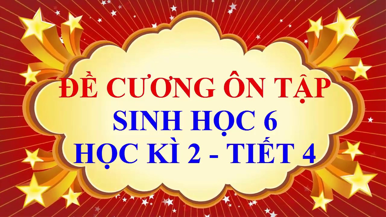 Sinh học lớp 6 - Đề cương ôn tập học kì 2 - tiết 4 - youtube