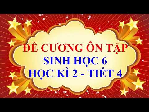 Video Sinh học lớp 6 - Đề cương ôn tập học kì 2 - tiết 4 - youtube