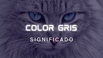 ¿Qué simboliza el color GRIS?
