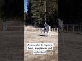 An exercise to improve bend, suppleness and collection #horseriding #equestrian #dressage