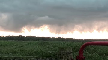 Cow gets struck by lightning.