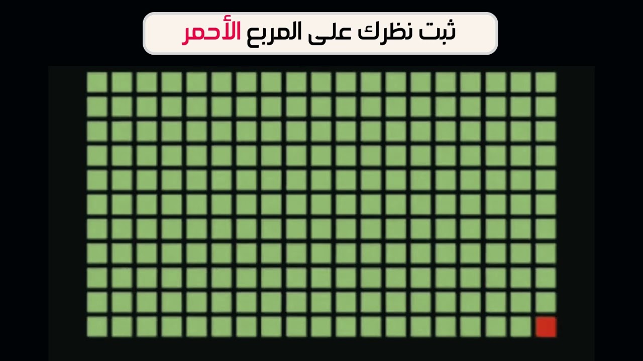 ثبت نظرك على المربع الاحمر | تدريبات الدماغ