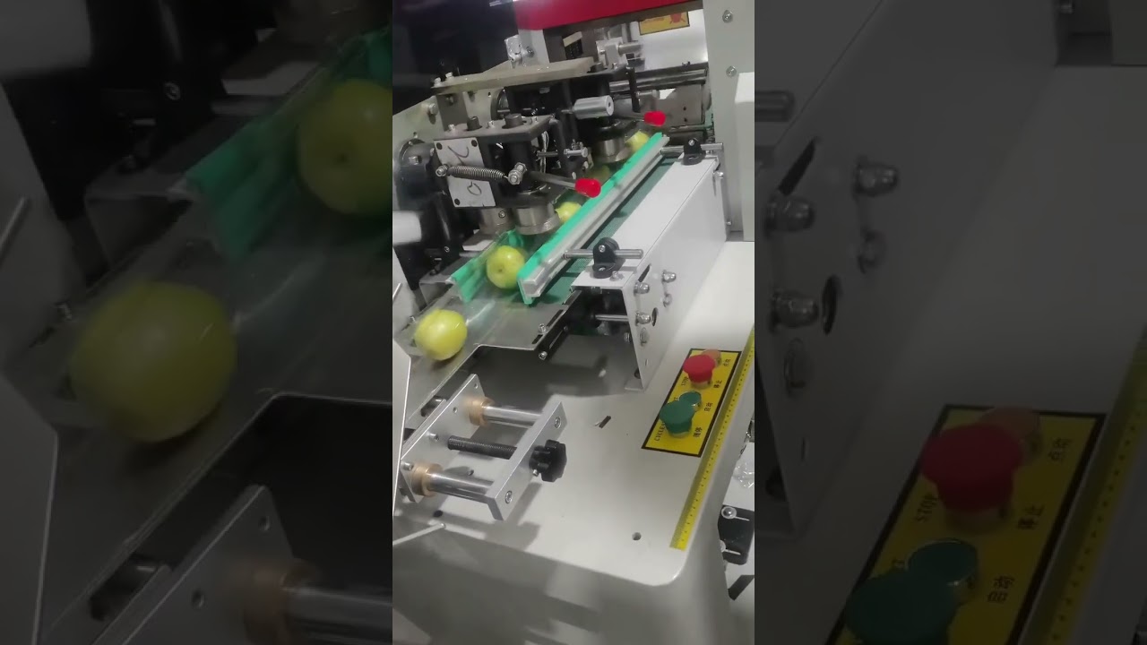 Automatic fruit date fresh lemon flow type pillow bag packaging machine