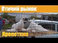 Птичий рынок. Кропоткин. Часть 2. [26.09.2021]