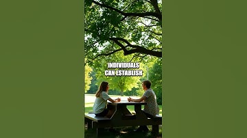 Creating Emotional Safety in Modern Relationships: The Silent Key