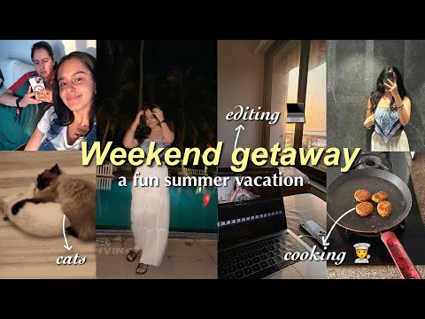 Summer days | cooking, editing, cats & much more..