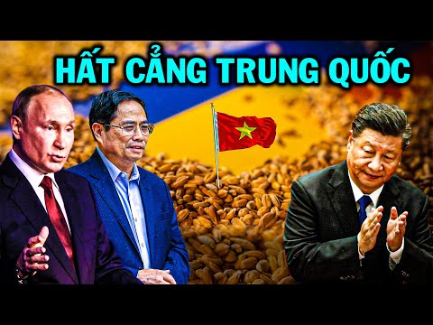 Video: Kim ngạch hàng hóa giữa Nga và Trung Quốc: số liệu thống kê và động lực phát triển