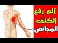 ألم الكتف مع رفع الذراع المجانص كيف تميز بين ألم اللاتز وألم وسط الظهر Latissimus Dorsi