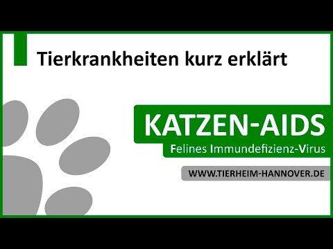 Video: Was Sie über Feline Untere Harnwege Krankheit wissen sollten