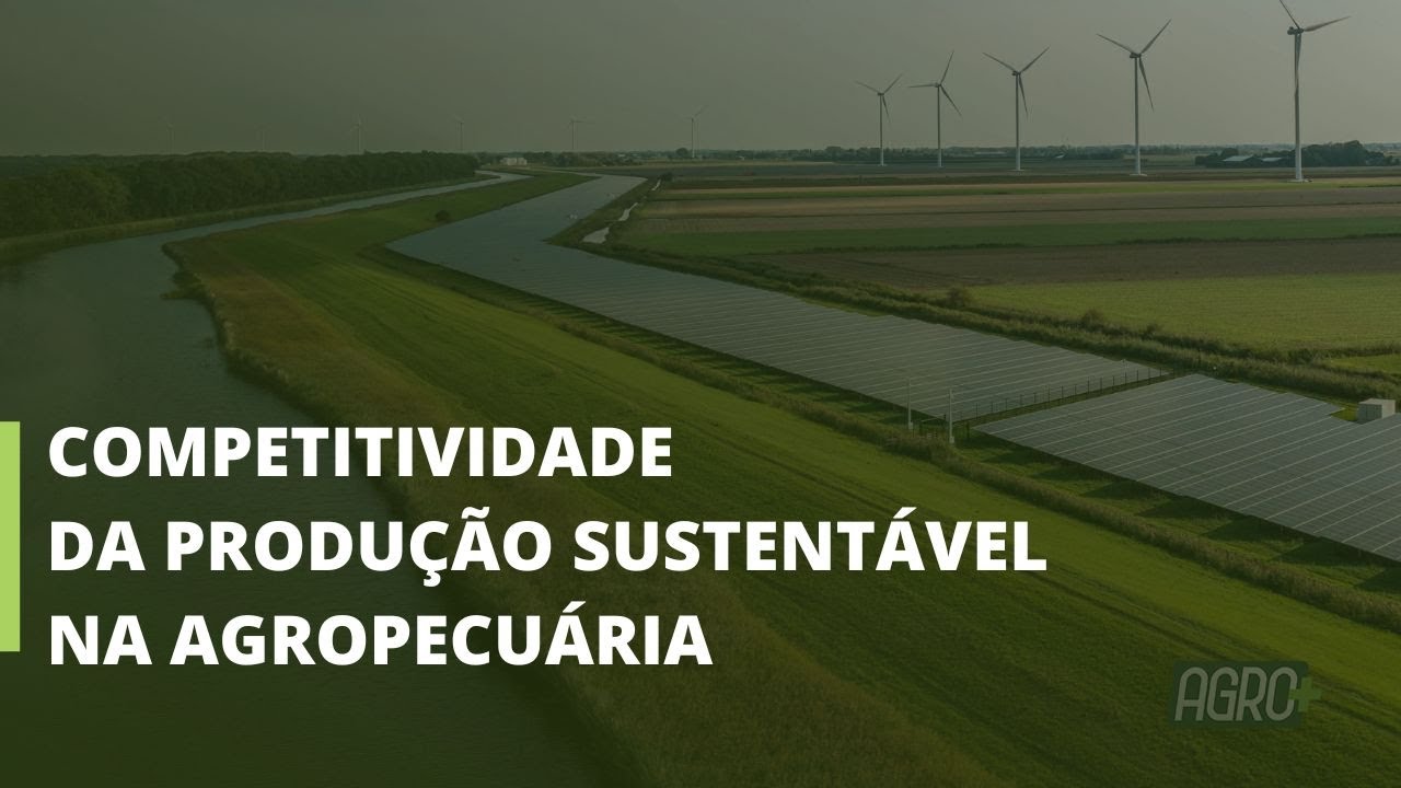 Desafios da Embrapa passam pela competitividade da produção sustentável na agropecuária