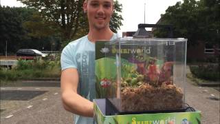 Oostlander Ontdekt Per Toeval Hét Middel Tegen Muggen