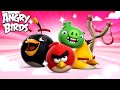 Angry Birds | Every SLINGSHOT Moment EVER!