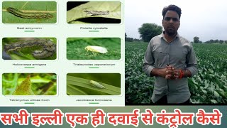 सोयाबीन की सभी इल्लियां एक स्प्रे में कैसे कंट्रोल करे/सोयाबीन का सबसे बेस्ट insectisides/सोयाबीन