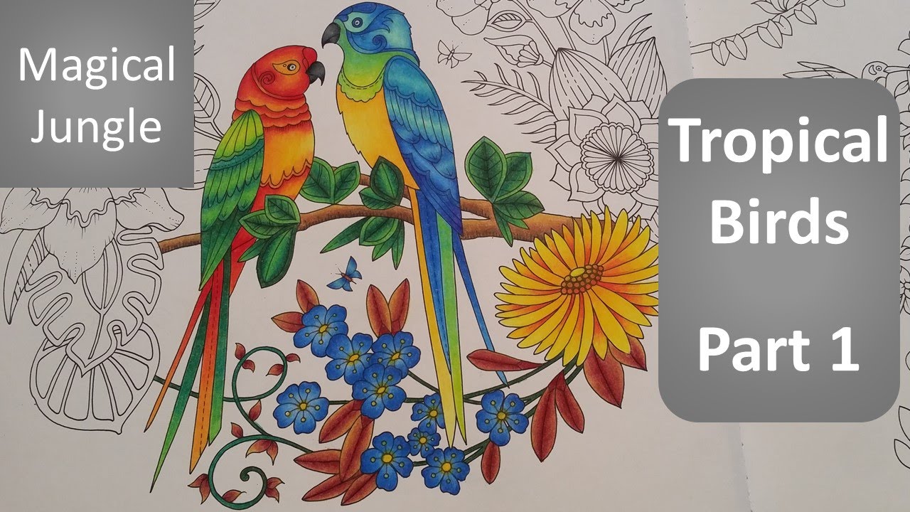 Download How I Color Tropical Birds Part 1 Magical Jungle Adult Coloring Book By Johanna Basford Youtube