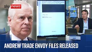 Files on Andrew's appointment as UK trade envoy released