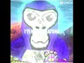 Sorry that i have been reusing the same content #gorillatag #gorillatagquest