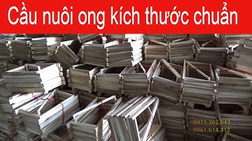 Cầu ong nội kích thước chuẩn 42x21 I ong Việt