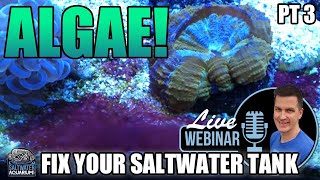 ALGAE PROBLEMS in YOUR TANK & Talking Good Bacteria w/Expert Dr. Tim!