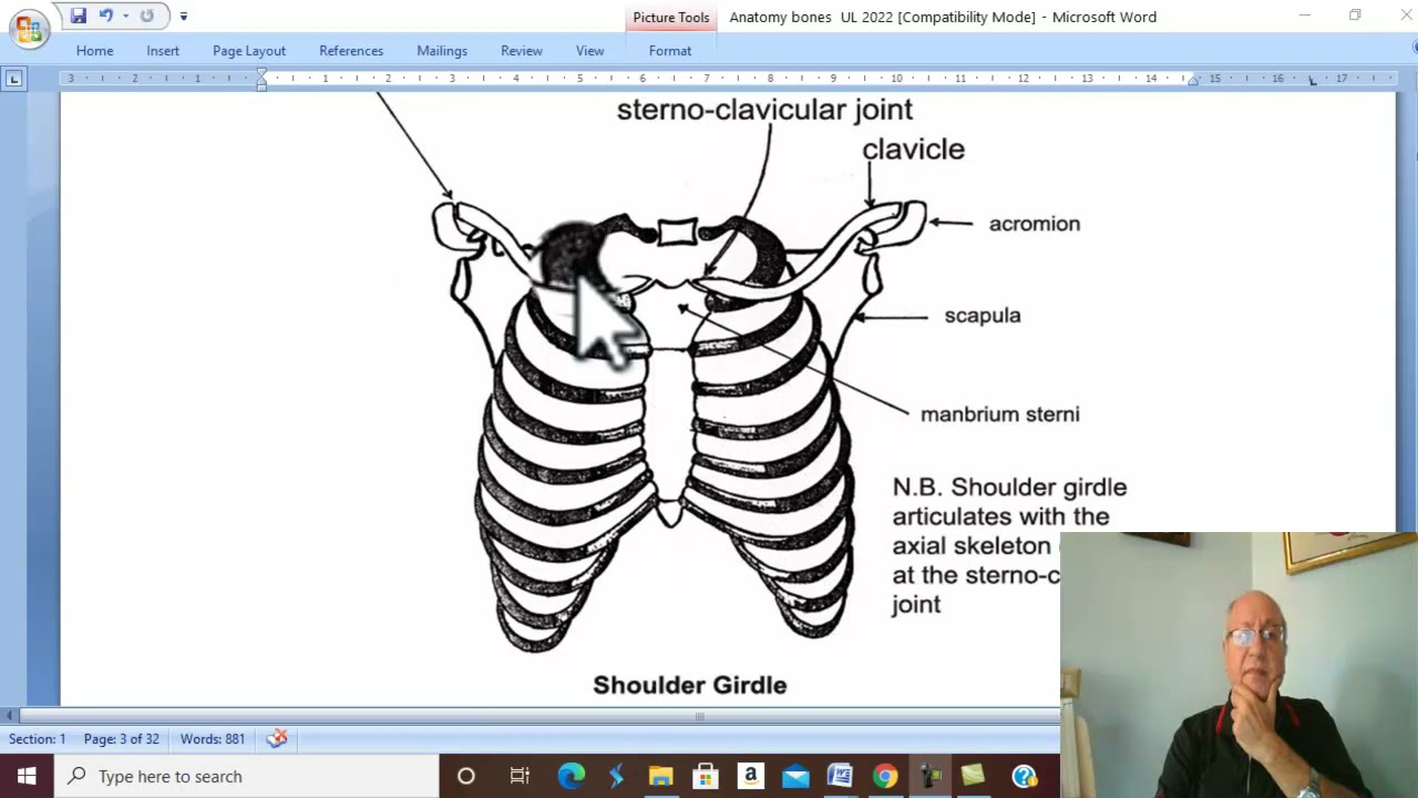 Musculo-skeletal Module I in Arabic 2 ( Clavicle ) , by Dr. Wahdan