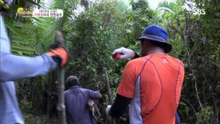 정글의법칙 The law of the Jungle 130920 #38(7)