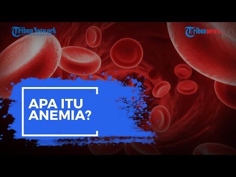 Video: Pada anemia apa stimulus untuk produksi eritropoietin?