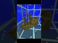 Dolphins Can Find Treasure?!