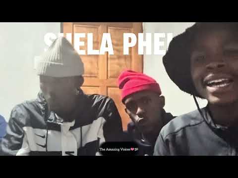 Shela Phela (Acapella) | Cover