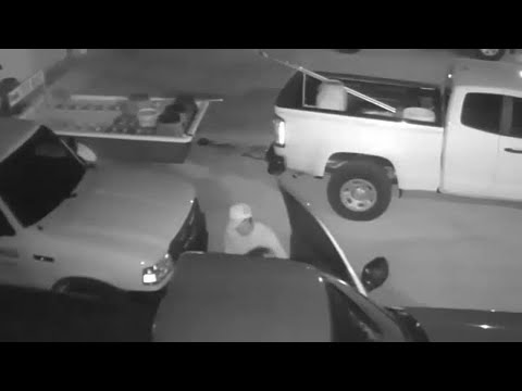 Surveillance video shows man having sex during trailer theft