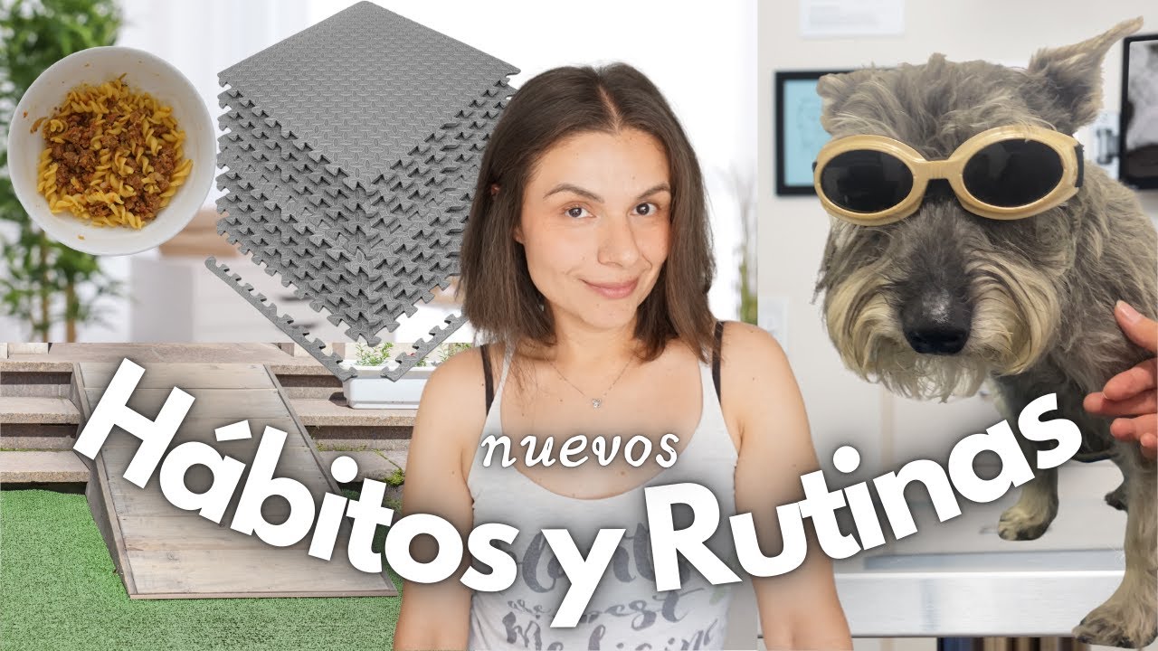 RUTINAS Y HÁBITOS NUEVOS 🐾✨