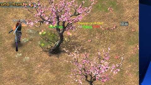 Conquer online Part 1