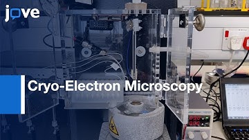 Time-Resolved Cryo-Electron Microscopy by Fast Grid | Protocol Preview