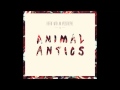 Animal antics  melodies