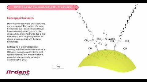 HPLC Tips and Troubleshooting 18 - Endcapped  Columns