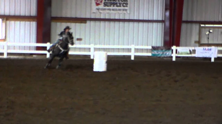Pattie Marshall & Blackie NBHA MI State Finals Ope...