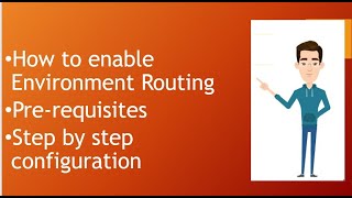 What is Environment Routing in Power Platform