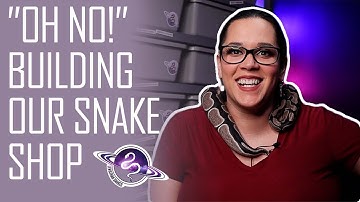 Building a Snake Shop | Mistakes, Advice, and What Went Right