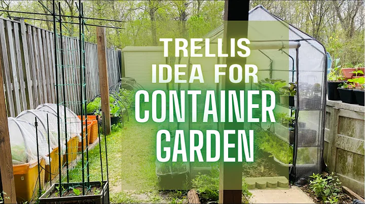 Creating Trellis for Vining Plants Using Garden St...