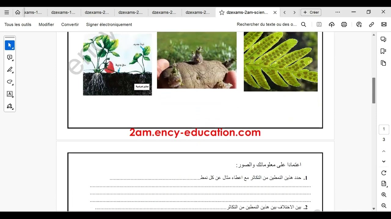حصة مراجعة و حل تمارين حول التكاثر عند الحيوانات و النباتات السنة الثانية متوسط