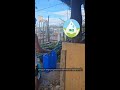 automatic desalted water filtration device water production 0.8 tons/hour