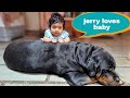 Rottweiler and Babies are best friend||funny dog videos.