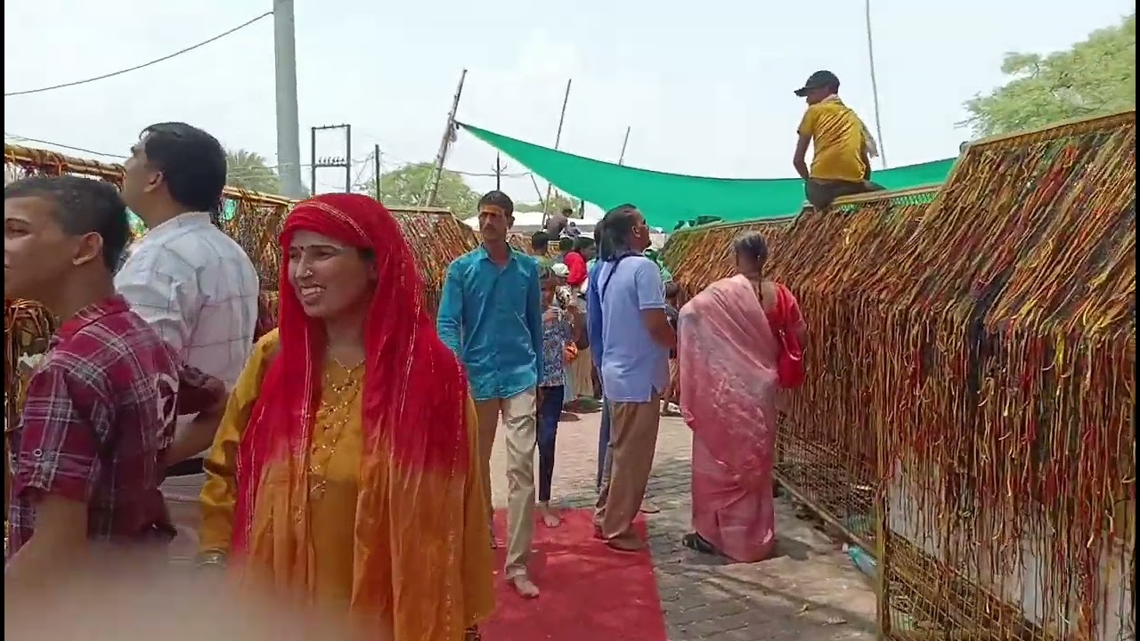 Ujjain Darshan #jaymahakal#kalbheraw#gadhkalimata#darshan#harharmahadev#youtube#video