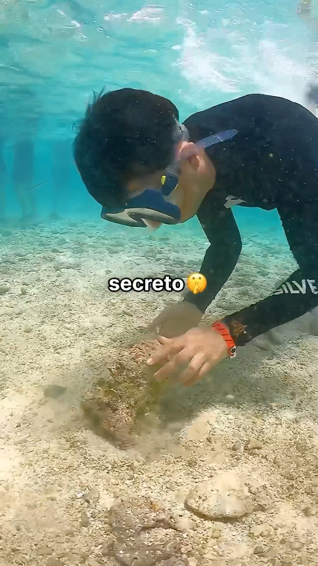 Encontré un Mensaje Secreto en el Mar ?